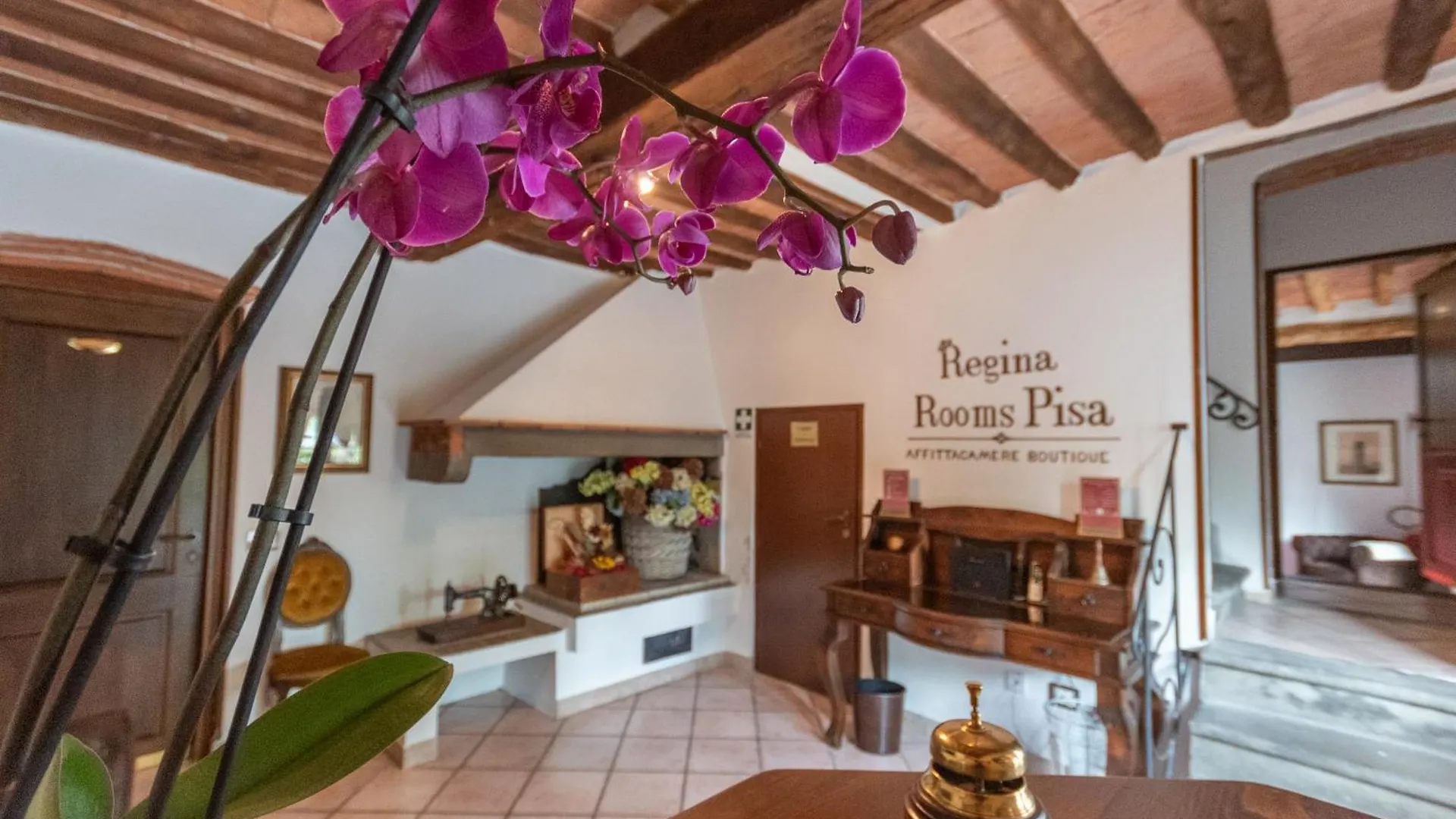 Regina Rooms Pisa Italy